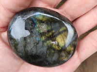 Polished Flashy Labradorite Palm Stones  x 12 From Tulear, Madagascar - TopRock