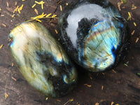 Polished Flashy Labradorite Palm Stones  x 12 From Tulear, Madagascar - TopRock