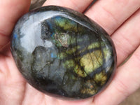 Polished Flashy Labradorite Palm Stones  x 12 From Tulear, Madagascar - TopRock