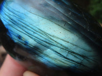 Polished Flashy Labradorite Palm Stones  x 12 From Tulear, Madagascar - TopRock