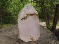 Polished Extra Large Window Amethyst Point x 1 From Akansobe, Madagascar - TopRock