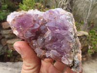 Natural Dark Amethyst Clusters x 15 From Zululand, South Africa