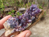 Natural Dark Amethyst Clusters x 15 From Zululand, South Africa