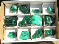 Polished Flower & Banded Malachite Free Forms  x 12 From Congo - Toprock Gemstones and Minerals 