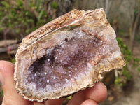 Natural Dark Amethyst Clusters x 15 From Zululand, South Africa