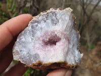 Natural Dark Amethyst Clusters x 15 From Zululand, South Africa