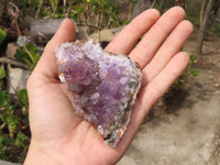 Natural Dark Amethyst Clusters x 15 From Zululand, South Africa