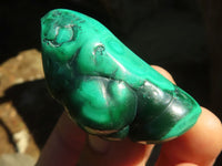 Polished Flower & Banded Malachite Free Forms  x 12 From Congo - Toprock Gemstones and Minerals 