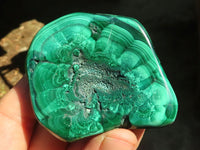 Polished Flower & Banded Malachite Free Forms  x 12 From Congo - Toprock Gemstones and Minerals 