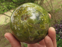 Polished Gorgeous Green Opal Spheres  x 3 From Madagascar - TopRock