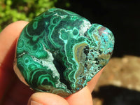 Polished Flower & Banded Malachite Free Forms  x 12 From Congo - Toprock Gemstones and Minerals 