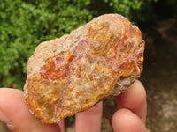 Polished Petrified Wood Branch Pieces  x 6 From Mahajanga, Madagascar - Toprock Gemstones and Minerals 