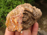 Polished Petrified Wood Branch Pieces  x 6 From Mahajanga, Madagascar - Toprock Gemstones and Minerals 