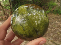 Polished Gorgeous Green Opal Spheres  x 3 From Madagascar - TopRock