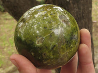 Polished Gorgeous Green Opal Spheres  x 3 From Madagascar - TopRock