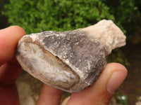 Polished Petrified Wood Branch Pieces  x 6 From Mahajanga, Madagascar - Toprock Gemstones and Minerals 