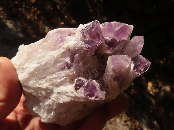 Natural Sugar Amethyst Clusters  x 4 From Solwezi, Zambia