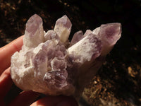 Natural Sugar Amethyst Clusters  x 4 From Solwezi, Zambia