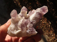 Natural Sugar Amethyst Clusters  x 4 From Solwezi, Zambia