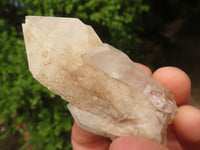 Natural Highly Selected Pineapple Candle Quartz Crystals  x 20 From Madagascar - Toprock Gemstones and Minerals 