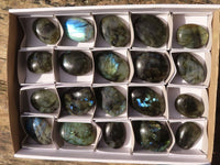 Polished Flashy Labradorite Palm Stones  x 20 From Madagascar - Toprock Gemstones and Minerals 