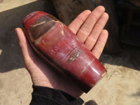 Polished Red Podocarpus Petrified Wood Standing Free Forms x 2 From Mahajanga, Madagascar