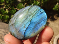 Polished Flashy Labradorite Palm Stones  x 20 From Madagascar - Toprock Gemstones and Minerals 