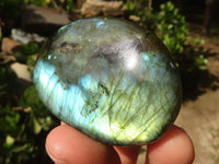 Polished Flashy Labradorite Palm Stones  x 20 From Madagascar - Toprock Gemstones and Minerals 