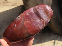 Polished Red Podocarpus Petrified Wood Standing Free Forms x 2 From Mahajanga, Madagascar