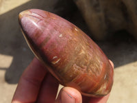 Polished Red Podocarpus Petrified Wood Standing Free Forms x 2 From Mahajanga, Madagascar