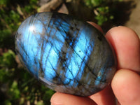 Polished Flashy Labradorite Palm Stones  x 20 From Madagascar - Toprock Gemstones and Minerals 