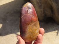 Polished Red Podocarpus Petrified Wood Standing Free Forms x 2 From Mahajanga, Madagascar