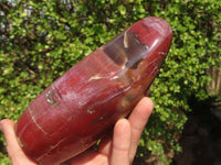 Polished Red Podocarpus Petrified Wood Standing Free Forms x 2 From Mahajanga, Madagascar