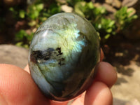 Polished Flashy Labradorite Palm Stones  x 20 From Madagascar - Toprock Gemstones and Minerals 