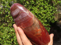 Polished Red Podocarpus Petrified Wood Standing Free Forms x 2 From Mahajanga, Madagascar