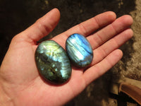 Polished Flashy Labradorite Palm Stones  x 20 From Madagascar - Toprock Gemstones and Minerals 