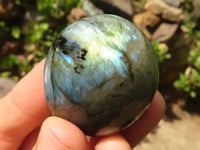 Polished Flashy Labradorite Palm Stones  x 20 From Madagascar - Toprock Gemstones and Minerals 