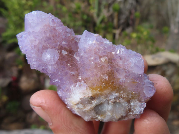 Natural Spirit Quartz Clusters x 12 From Boekenhouthoek, South Africa