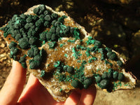 Natural Classic Ball Malachite On Yellow Limonite Quartz Specimen x 1 From Kambove, Congo