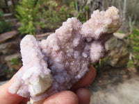 Natural Spirit Quartz Clusters x 12 From Boekenhouthoek, South Africa