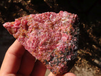 Natural Rough Red Rhodonite Specimens x 6 From Zimbabwe