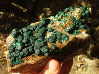 Natural Classic Ball Malachite On Yellow Limonite Quartz Specimen x 1 From Kambove, Congo