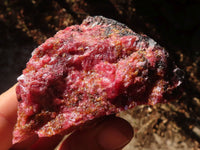 Natural Rough Red Rhodonite Specimens x 6 From Zimbabwe