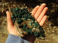 Natural Classic Ball Malachite On Yellow Limonite Quartz Specimen x 1 From Kambove, Congo