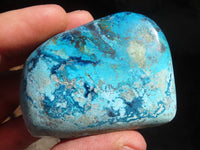 Polished Blue Shattuckite Free Forms  x 12 From Kaokoveld, Namibia - Toprock Gemstones and Minerals 