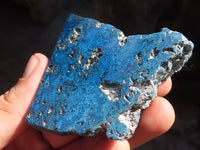 Polished Blue Shattuckite Free Forms  x 12 From Kaokoveld, Namibia - Toprock Gemstones and Minerals 