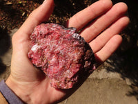 Natural Rough Red Rhodonite Specimens x 6 From Zimbabwe