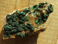 Natural Classic Ball Malachite On Yellow Limonite Quartz Specimen x 1 From Kambove, Congo