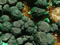 Natural Classic Ball Malachite On Yellow Limonite Quartz Specimen x 1 From Kambove, Congo