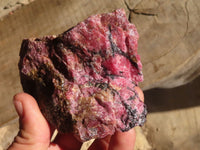 Natural Rough Red Rhodonite Specimens x 6 From Zimbabwe